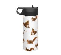 Cute Squirrel Printing The Print 18 Oz Stainless Steel Sports Insulated Kettle with Lid for Adult Men Women