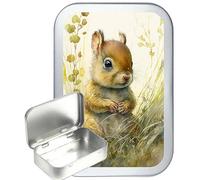 Cute Squirrel Silver Hinged Gift Box, Storage Tin, tobacco tin, Pill Tin, 50ml tin