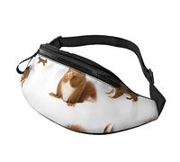 Cute Squirrel Sport Waist Bag Travel Bumbags with Zipper and Earphone Hole, Running Fanny Pack Waist Pack with Adjustable Belt for Men Women