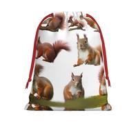 Cute Squirrel Ultra Soft Velvet Gift Bag, Comfortable To The Touch, Reusable