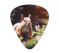 Cute Squirrel Wzywhj Prints Abs Guitar Picks 12 Piece, Easy Grip Uke Picks For Your Bass, Ukulele, Acoustic Or Electric Guitar