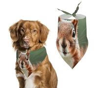 Cute Squirrels Dog Bandanas for Feeding Grooming, Triangle Pet Bibs for Cats & Dogs Washable Fashion Pets Scarf for Party Travel 27.6 X 11.8 Inch