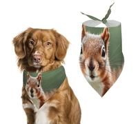 Cute Squirrels Dog Bandanas for Feeding Grooming, Triangle Pet Bibs Washable Pets Scarf for Cats & Dogs