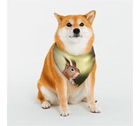 Cute Squirrels Dog Bandanas Medium Adjustable Dog Scarf Triangle Bibs Double Reversible Kerchief Scarf Washable Daily Handkerchief for Medium Large Dog Puppy Cat Gift