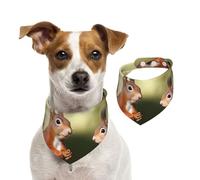 Cute Squirrels Dog Bandanas,Summer Bandanas for Dogs Washable Adjustable Dog Triangle Scarf Bibs Cute Pet Bibs for Medium Large Dogs Puppy and Cats Large