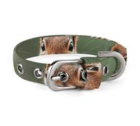 Cute Squirrels Dog Collar, Soft Comfortable Pet Collar for Small & Medium Dogs, Adjustable Durable Cat Collars for Puppies