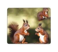 Cute Squirrels Mouse Pad Waterproof Gaming Mousepad for Office Computer Mousepads for Desk Pad with Non-Slip Rubber Base Washable Cloth Mouse Mat 7 x 8.6 in