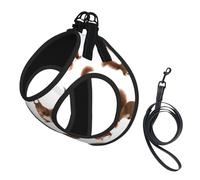 Cute Squirrels print Dog Harness and Leash Set, Reflective Adjustable Puppy Vest for Small Medium Large Dogs, Cats
