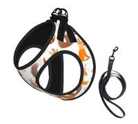 Cute Squirrels Print Soft Mesh Dog Harness and Leash Set Pet Puppy Cat Comfort Padded Vest No Pull Harnesses