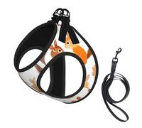 Cute Squirrels printing Dog Harness with Leash Set, Step-in Breathable Puppy Cat Dog Vest, No Pull Adjustable Puppy Harness