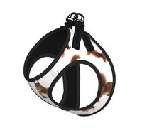 Cute Squirrels Printing Dog Summer Harness With Leash Set,Adjustable And Reflective Step-In Puppy Pet Vest Harnesses