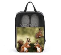 Cute Squirrels Shoe Bag Travel Shoe Organizer Water-Resistant Shoe Pouch with Zipper Sneaker Dust Bag, gray, One Size, Modern