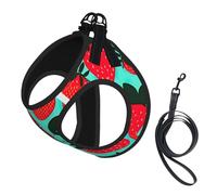 Cute Strawberry 1 Print Dog Harness with Leash Set with Thickened Padded Vest for Extra-Small/Small Medium Dogs