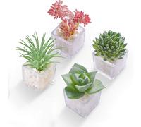 Cute Succulent Fridge Magnet, 4-Pieces Decorative 3D Plant Magnets for Refrigerator Whiteboard Locker Kitchen Office School (Set #1)