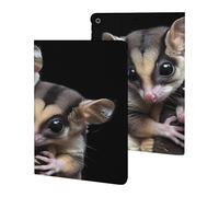 Cute Sugar Glider Case Compatible for ipad 2019/2020/2021(10.2in) Tablet Cases Stand Protective Cover with Sleep/Wake
