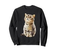 Cute Tabby Cat Curious Gaze Feline Pet Lover Sweatshirt