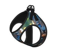 Cute Turquoise Leopard Print Pet Leash Vest Soft Adjustable Step in Puppy Vest Outdoor Walking with Leash