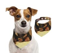 Cute Two Dachshund Dog Print,Dog Bandanas Cotton Pet Scarf Adjustable Bibs for Pet,M