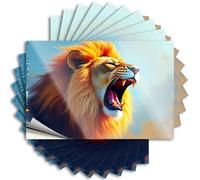 Cute Water Quote | Roaring Lion with Vibrant Mane Winter Durable Vinyl Sticker Easy Apply for Standing(12X18CM)