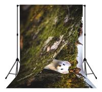 Cute Weasel Print Photo Studio Background 5x7ft Soft Photo Backdrop Curtain For Studio Content Creator Equipment
