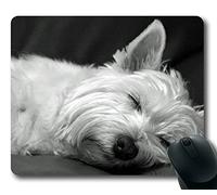 Cute Westie Terrier Dog Asleep POP Masterpiece Limited Design Oblong Mouse Pad by Cases & Mousepads