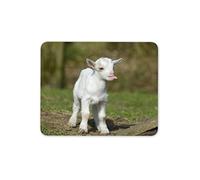 Cute White Baby Goat Mouse Mat Pad - Goats Kid Farm Animal Gift Computer #8650