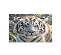 Cute White Tiger Placemats Heat Resistant Anti Slip Dining Table Place Mats Washable Linen Placemat Wipeable Placemat for Kitchen Art Placemats Easy to Clean