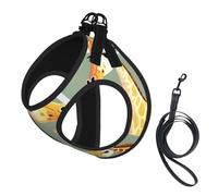 Cute Wild Cartoon Giraffes printing Dog Harness with Leash Set, Step-in Breathable Puppy Cat Dog Vest, No Pull Adjustable Puppy Harness