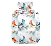 Cute Winter Bird in Hat Scarf Hot Water Bottle for Hot and Cold Water Bottle