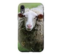 Cute woolly sheep portrait nature country Case for iPhone XR