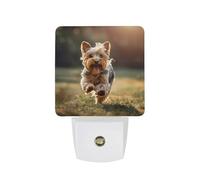 Cute Yorkshire Terrier Dog LED Night Light Plug in Night Light with Dusk to Dawn Sensor for Bedroom, Bathroom, Hallway 11.5x7.5x5cm