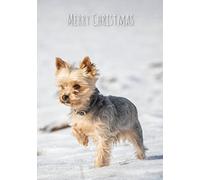 Cute Yorkshire Terrier Puppy in the Snow Christmas Greetings Card GC459
