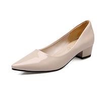 CuteFlats Women Casual Heeled Court Shoes with Pointed Toe