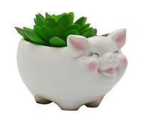 Cuteforyou Succulent Pots, Cute Animal Pig Shaped Ceramic Cactus Flower Planters with Bamboo Tray -Plant Not Included (White, 3.93 Inches)