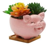 Cuteforyou Succulent Pots,Cute Animal Shaped Cartoon Ceramic Succulent Cactus Flower Planters with Bamboo Tray -Plant Not Included (6" Pig)