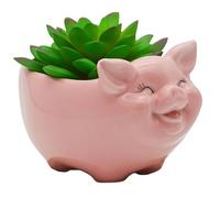 Cuteforyou Succulent Pots,Cute Pig Shaped Indoor Flower Planters Pencil Holders & Pen Holders -Plants Not in Included (Pink)