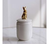 CutePet Pet Urns Pet Cremation Urn Handmade Ceramics Memorial Urn for Rabbit Little birds Small dogs Ashes (White (Color : Rabbit)