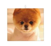 Cutest Dog Puppy Printed Kitchen Drying Mat - 41x46cm, for Quick Drying of Dishes, Stylish Kitchen Decorative mat