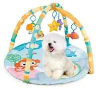 Cutie Patootie Playhouse Puppy Play Gym - Dog Play Mat & Cat Play Mat - Pet Activity Center with Squeaky Toys - Interactive Sensory Mat for Pets (Suitable to Entertain Both Dogs & Cats)
