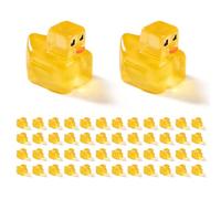 CutitiUU 50 PCS Glow-in-the-dark Checkered Square Yellow Duck,Luminous Resin Animals,Resin glow-in-the-dark duck micro-landscape ornament,unique design,for Garden Landscape Dollhouse Decor