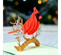 CUTPOPUP Bird Birthday Card Pop Up, Greeting Card 3D Pop Up (Cardinal) UK