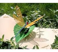 CUTPOPUP Birthday Card Pop Up, Greeting Card 3D Pop Up (Dragonfly) UK