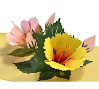 CUTPOPUP Hibiscus Birthday Cards for Women, Mothers Day Card Pop Up, Flowers 3D Gifts for Her, Wife Mum Daughter Sister Grandma Mothers Day Valentines Anniversary US8-FL083UK