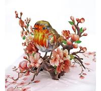 CUTPOPUP Robin Birthday Cards for Women, Sister Birthday Card, Mothers Day Card, 3D Card (Robin Cherry) US8-AN163UK