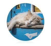 Cutting Board Sleeping Little Cat Printed Cheese Delicatessen Cutting Board Round Tempered Glass Suitable for Kitchen Table Centerpiece