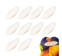 Cuttlebone - Pack of 10, Natural Mineral Grinding Toy, Spout Maintenance Accessory, Calcium Supplement for Pets, Safe Chew Tool