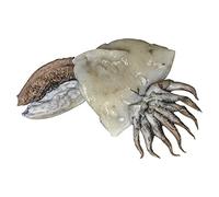Cuttlefish, Fresh, Gross Weight +/-1kg, Net Weight +/-600g