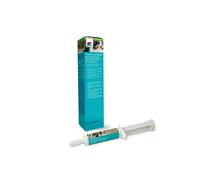 CVet NutriCareVet Intestinal Formula Paste for Cats and Dogs - 60ml