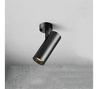 CVGBFDGYJN 5W 10W 15W 20W 30W LED Spotlight Adjustable 360° Spotlight Indoor Ceiling Lamp Wall Lamp Surface Mounted LED Spotlight Adjustable Down Light Shop Background Wall Spot Lamp Interesting