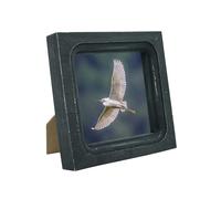 CVHOMEDECO. 4x4 Picture Frame Made of Solid Wood High Definition Glass Rustic Vintage Designs Small Photo Frame for Tabletop Display and Wall Mounting, Distress Black